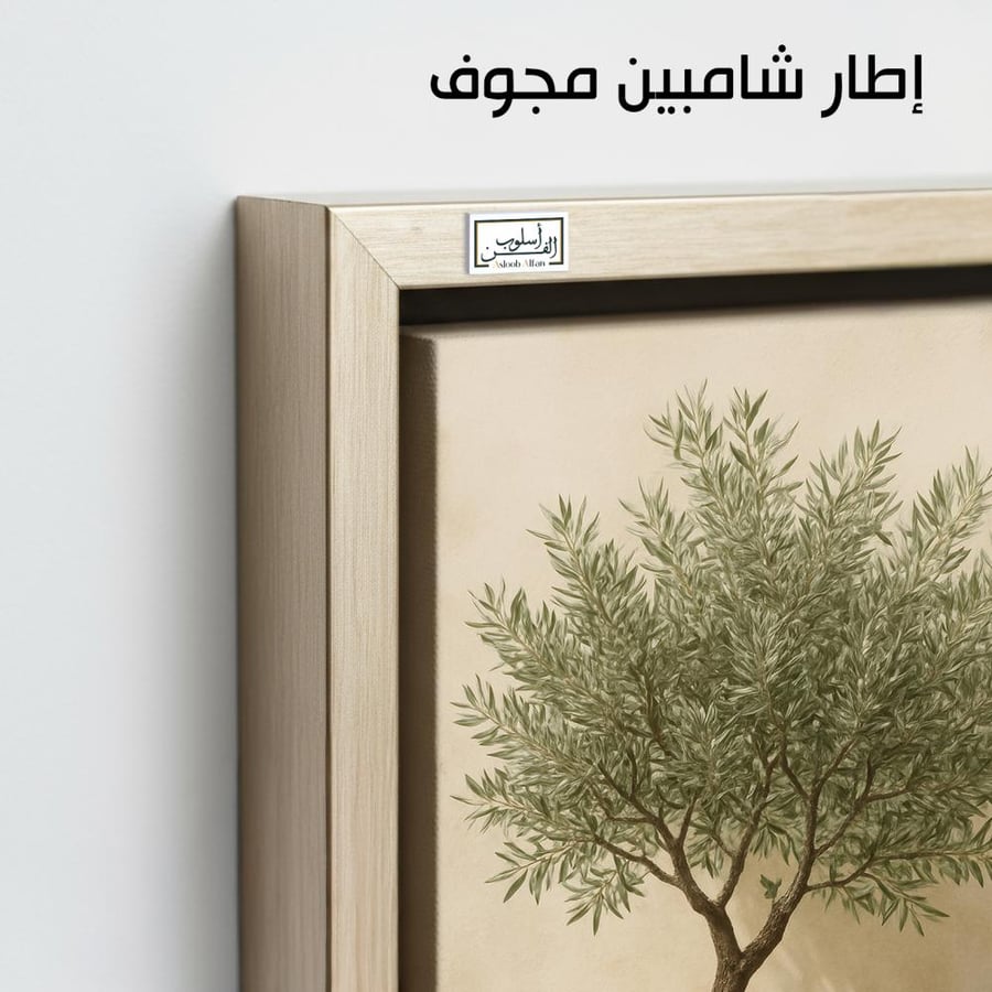 PLNT29  تناغم الزيتون والفخار