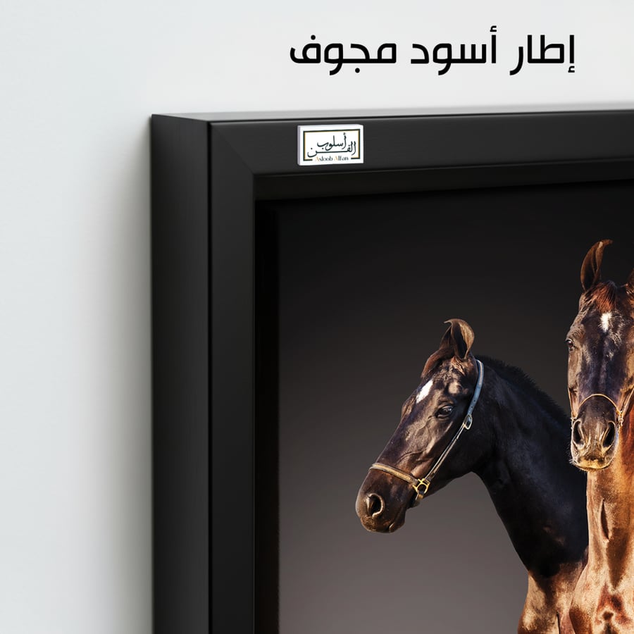 HR102 A contemporary art piece depicting two horses, one brown and one black, standing side by side against a dark background. The painting captures the power and beauty of the horses, bringing a sense of strength and elegance to any space