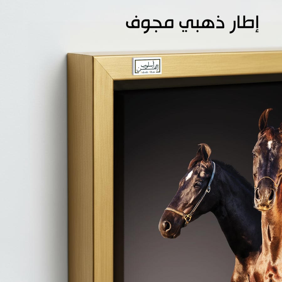 HR102 A contemporary art piece depicting two horses, one brown and one black, standing side by side against a dark background. The painting captures the power and beauty of the horses, bringing a sense of strength and elegance to any space