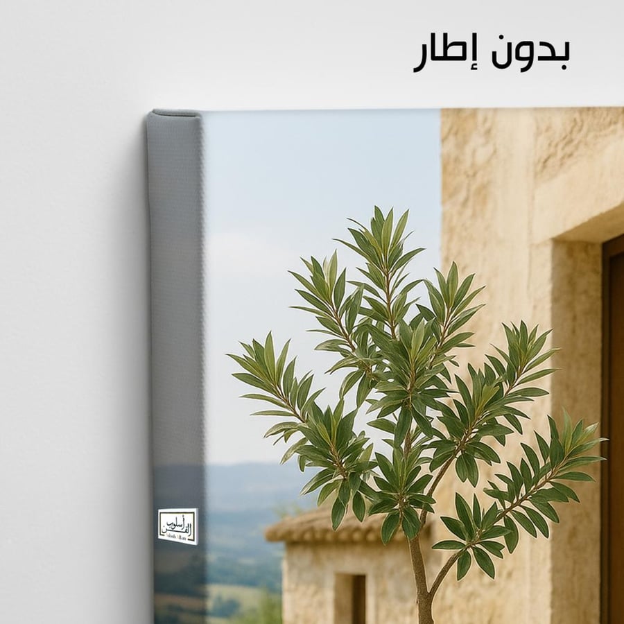 PLNT5  شرفة الزيتون