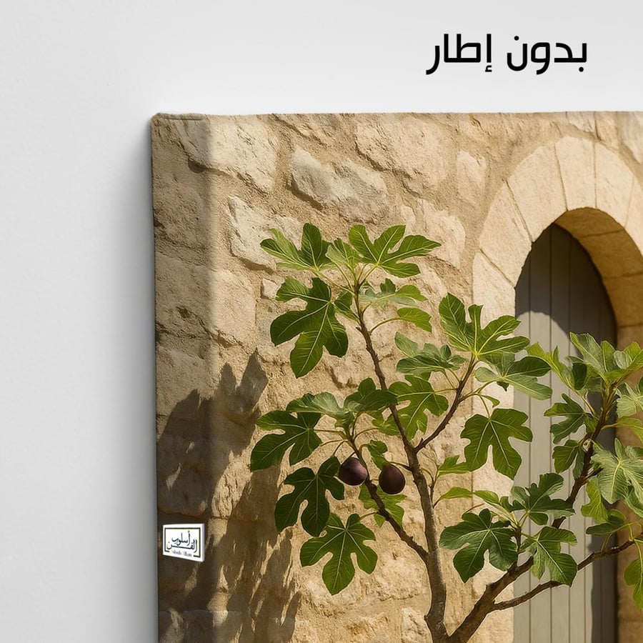 PLNT28  دفء التين الحجري