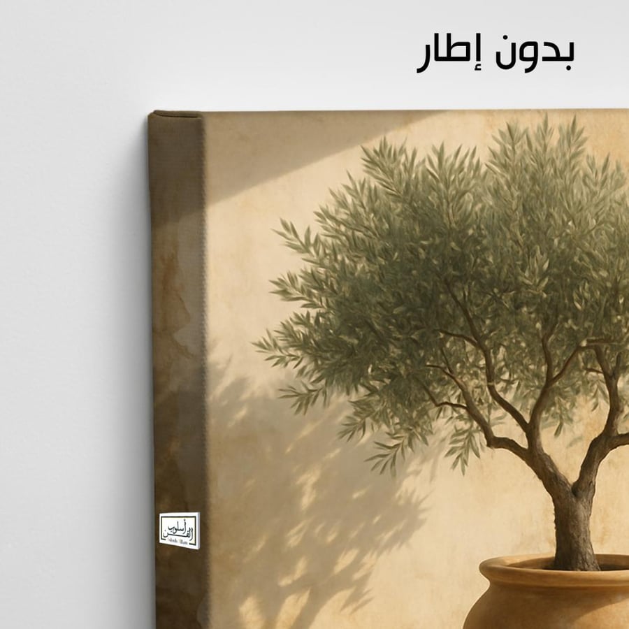 PLNT12  شرفة الزيتون الهادئة