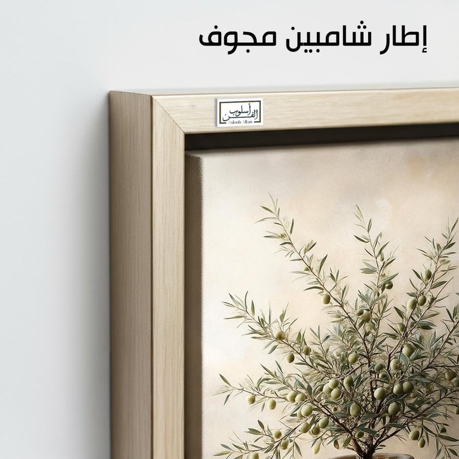 PLNT8 ثمار الزيتون