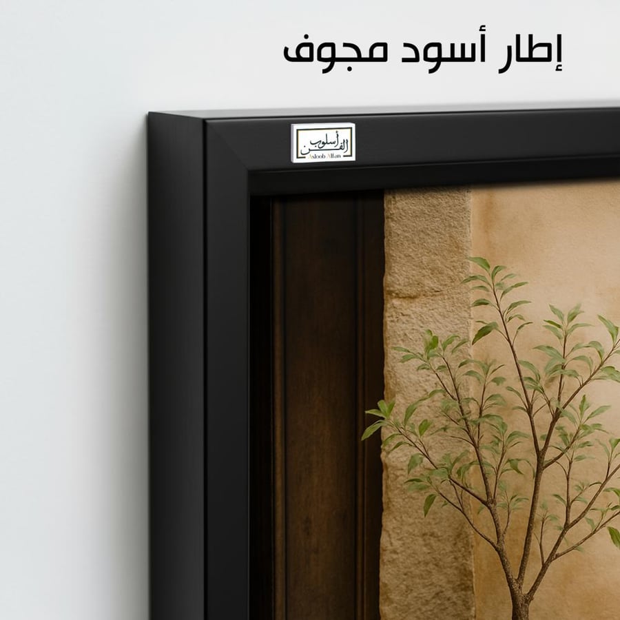 PLNT11  مدخل الزيتون
