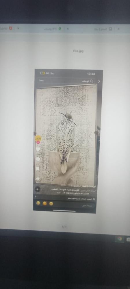 لوحه جداريه صقر المقاس الطول 210 والعرض 180 الايطار ذهبي