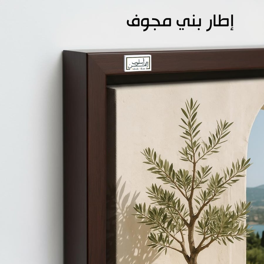 PLNT20 نافذة على فخارة الزيتون