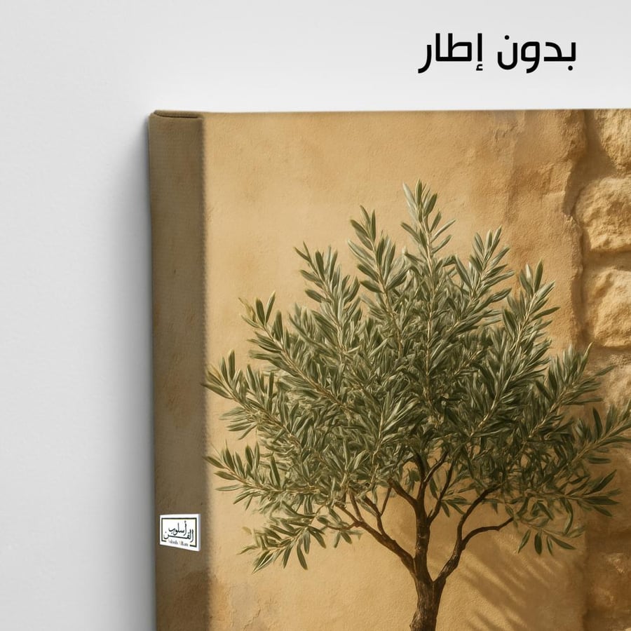 PLNT31  زيتونة في ضوء الصباح