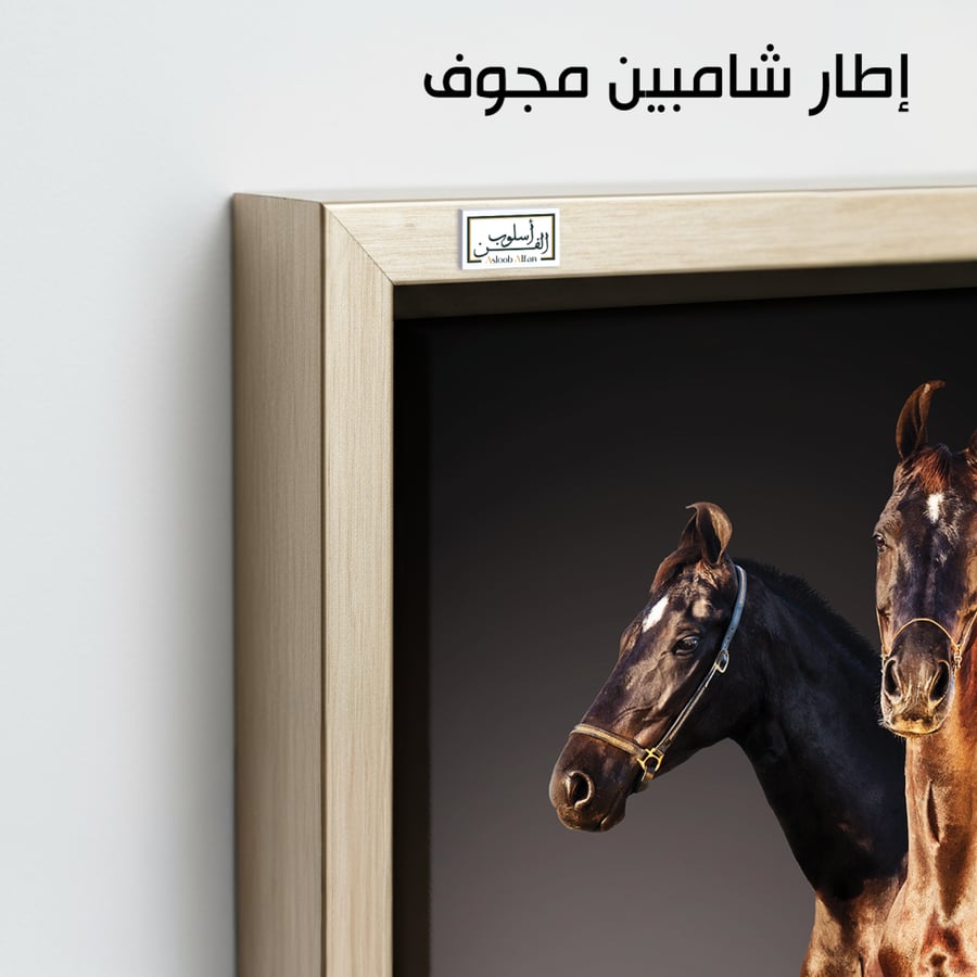 HR102 A contemporary art piece depicting two horses, one brown and one black, standing side by side against a dark background. The painting captures the power and beauty of the horses, bringing a sense of strength and elegance to any space