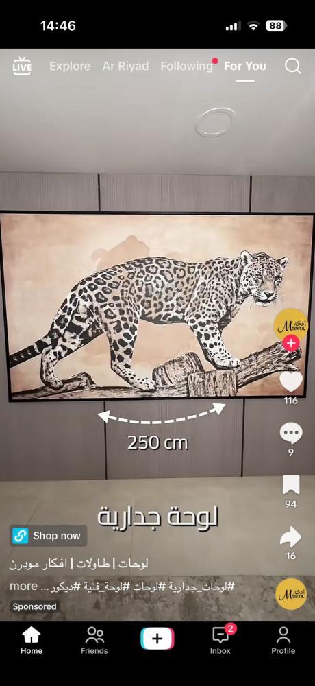 لوحه جداريه مقاس 250*150 برواز اسود