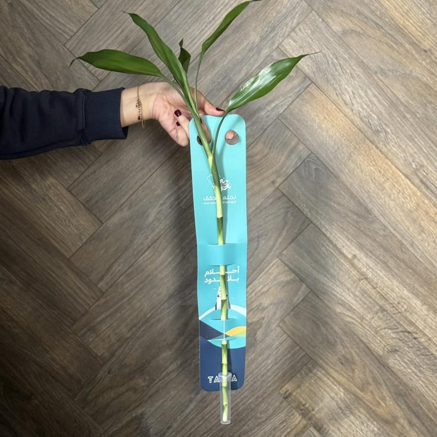 Bamboo plant holder with the National Day 94 identity