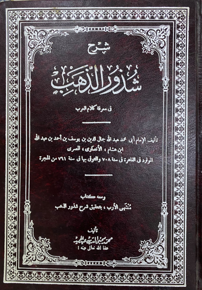شرح شذور الذهب في معرفة كلام العرب