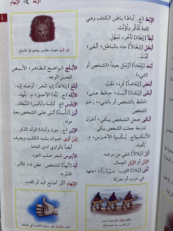 The proficient Arabic Illustrated Dictionary