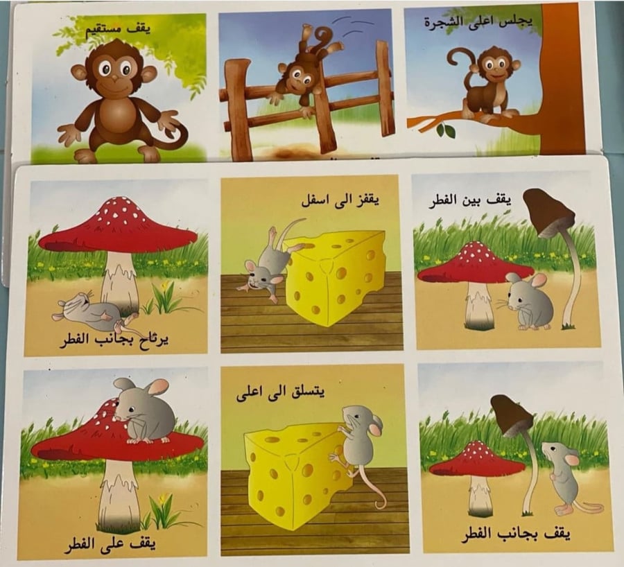 الاتجاهات