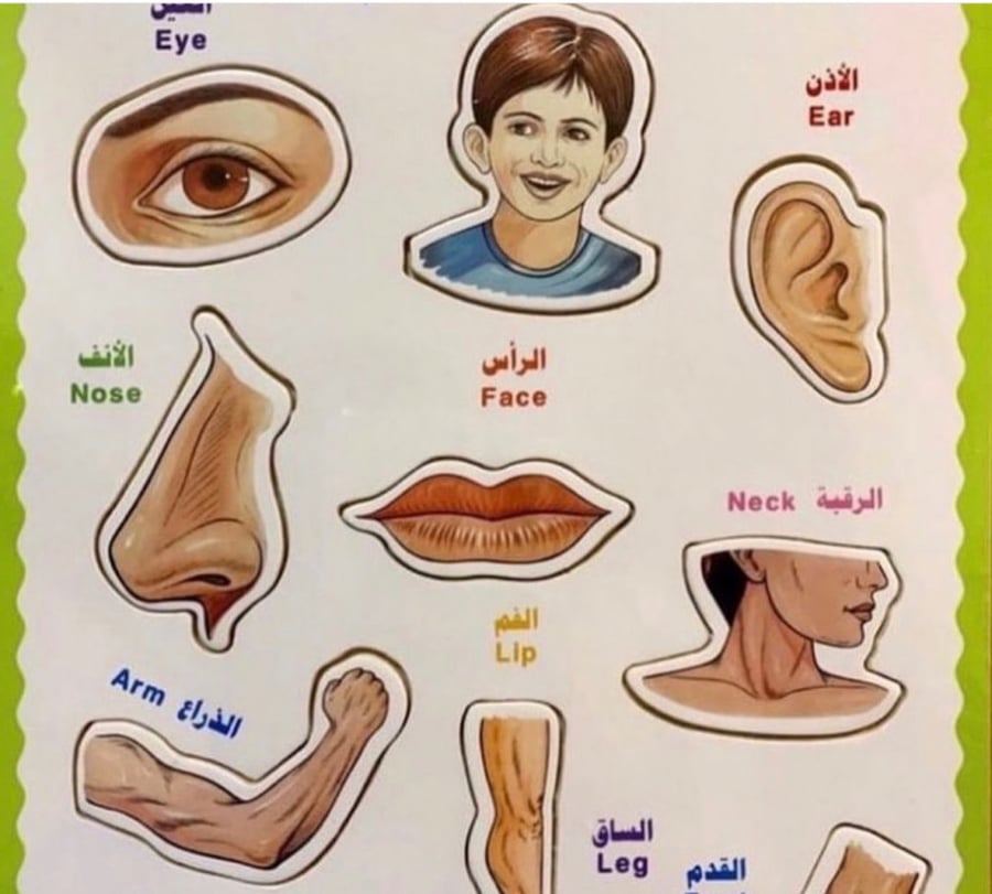 بزل اعظاء الجسم