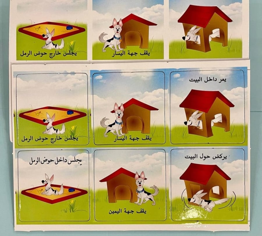 الاتجاهات
