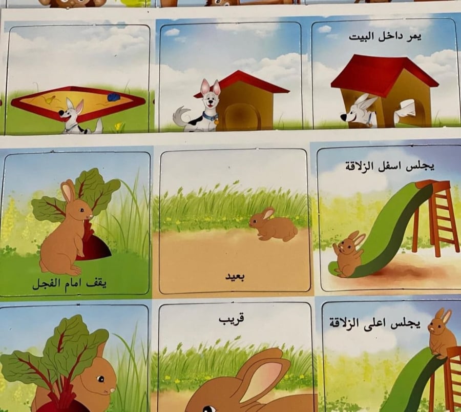الاتجاهات
