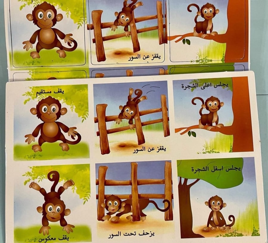 الاتجاهات