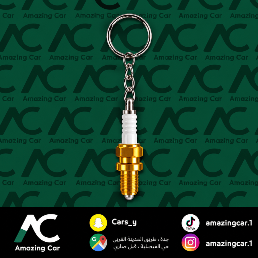 ميدالية  بواجي برونزي