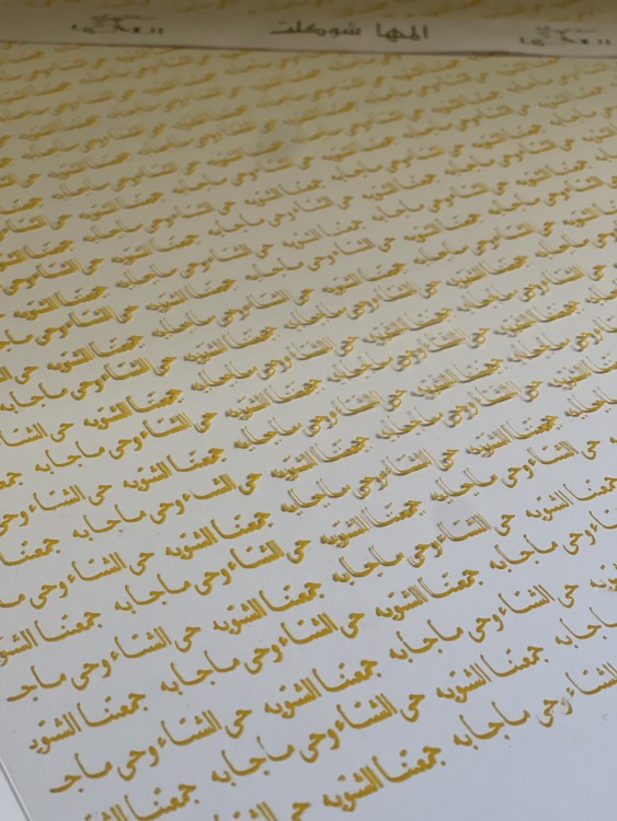 ترانسفير فلات ( حي الشتاء ) جديد