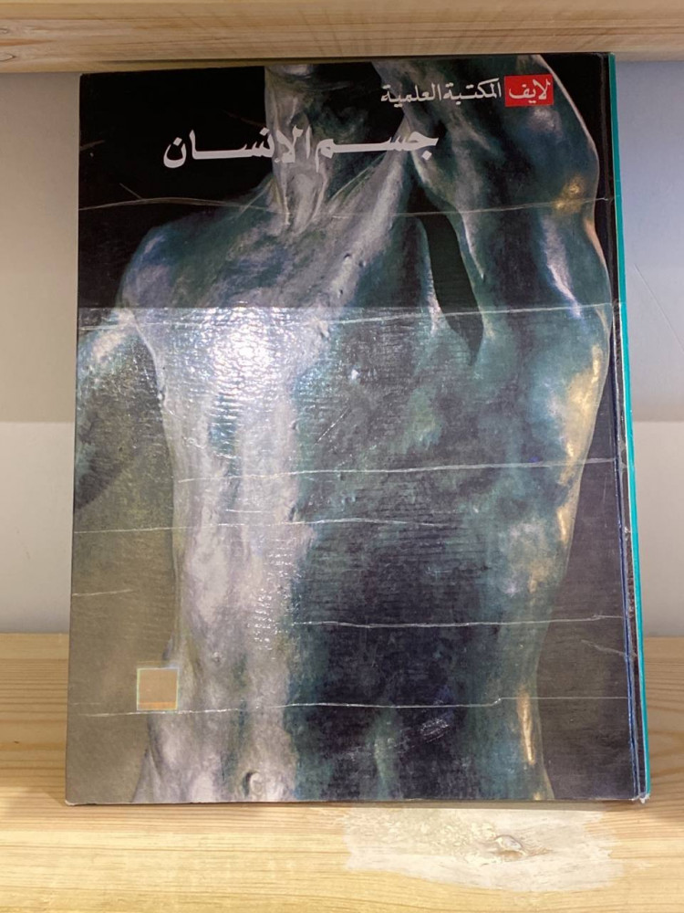 ‏جسم الإنسان