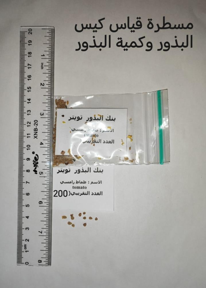 طماط رامسي 200 بذرة Tomato