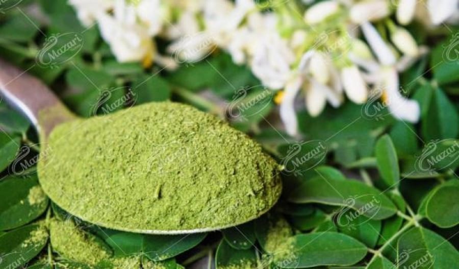 حناء بلدي 100 بذرة Lawsonia