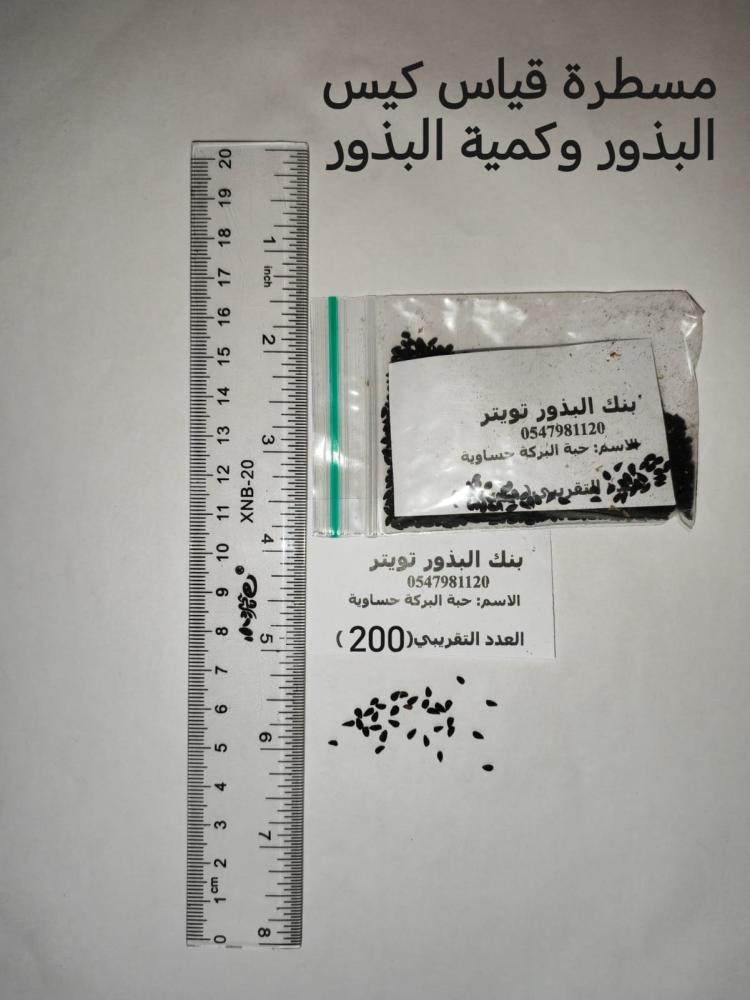 حبه سوداء حساوي   200 بذرة