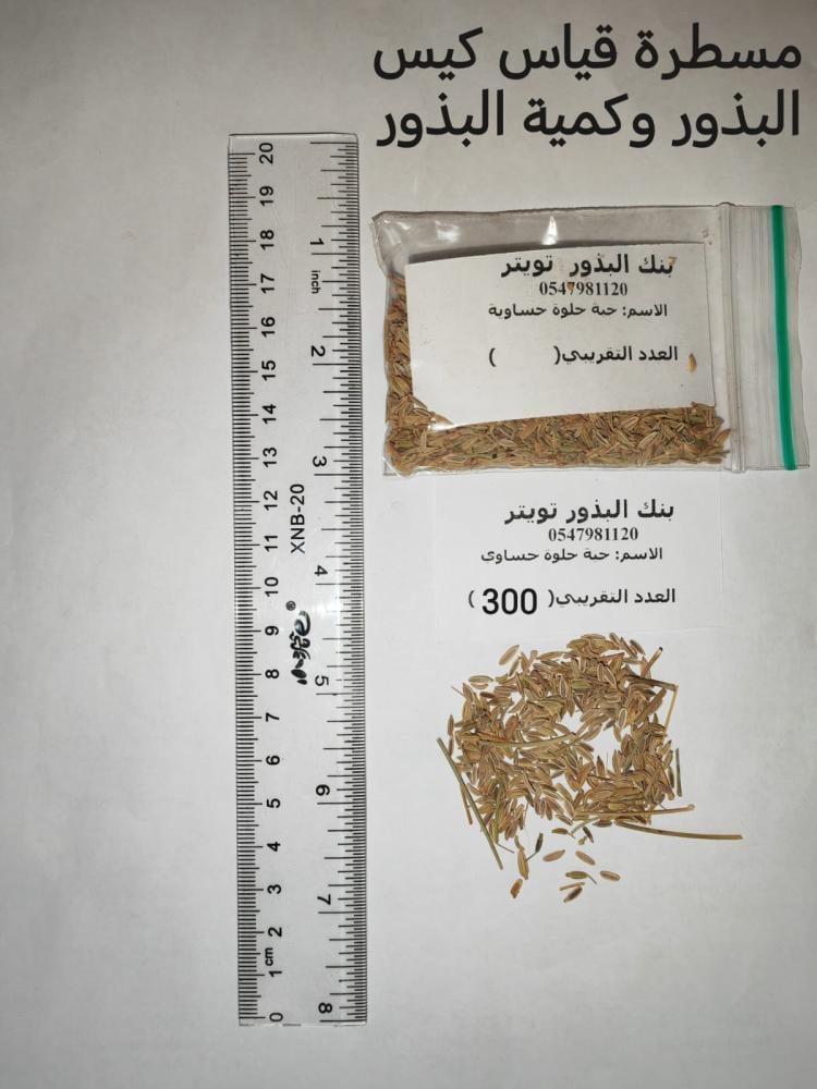 حبه حلوة شمر حساوي   200 بذرة