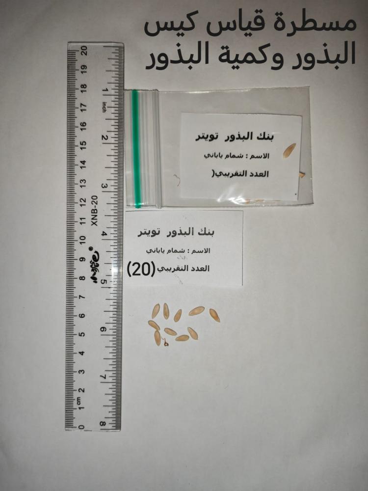 شمام  ياباني 20 بذرة