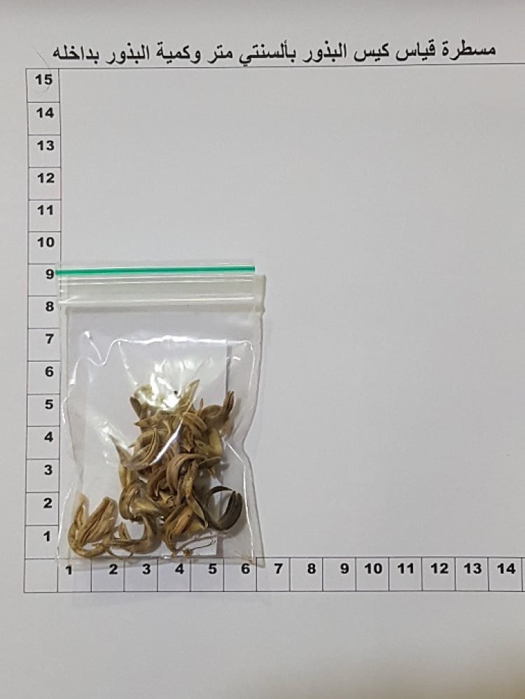 قفعاء و تأويل كمية البذور مثل الصورة  Astragalus