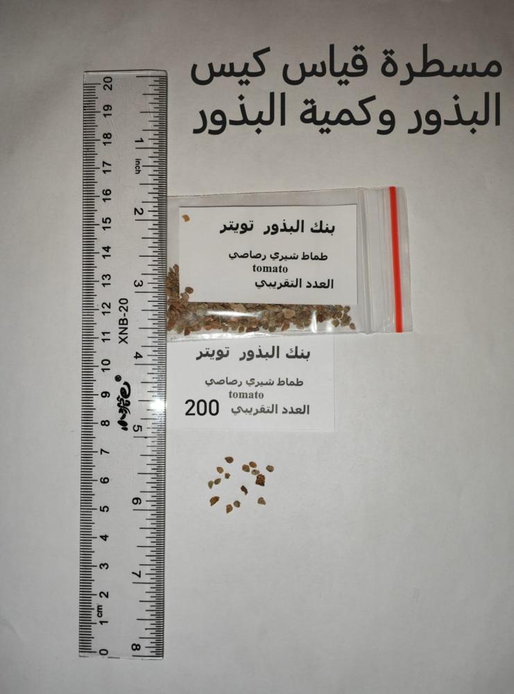 طماط شيري رصاصي 200 بذرة