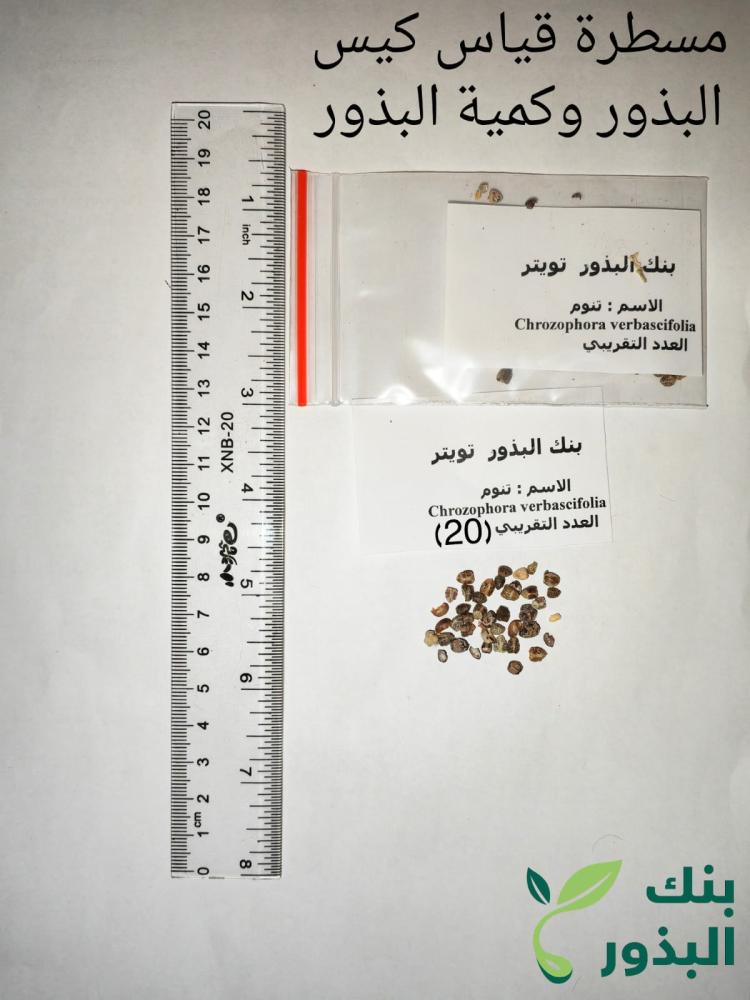 تنوم 15 بذرة  Chrozophora verbascifolia