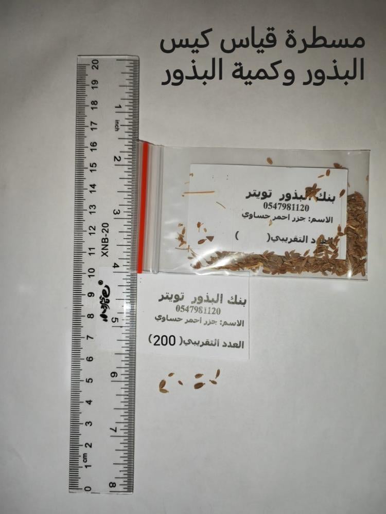 جزر احمر حساوي 200 بذرة