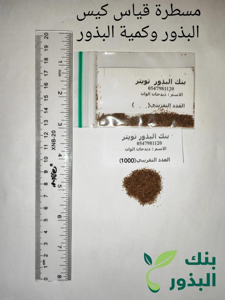 ديدحان الوان احمر وابيض و وردي 1000 بذرة Papaver glaucum