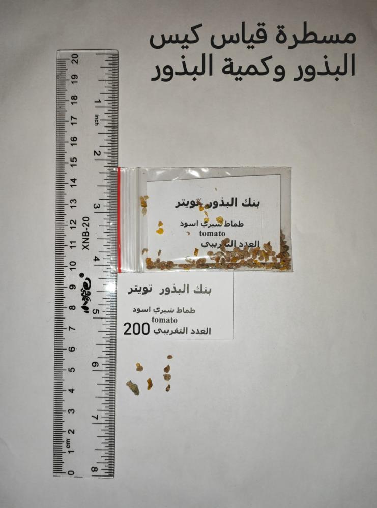 طماط شيري اسود 200 بذرة