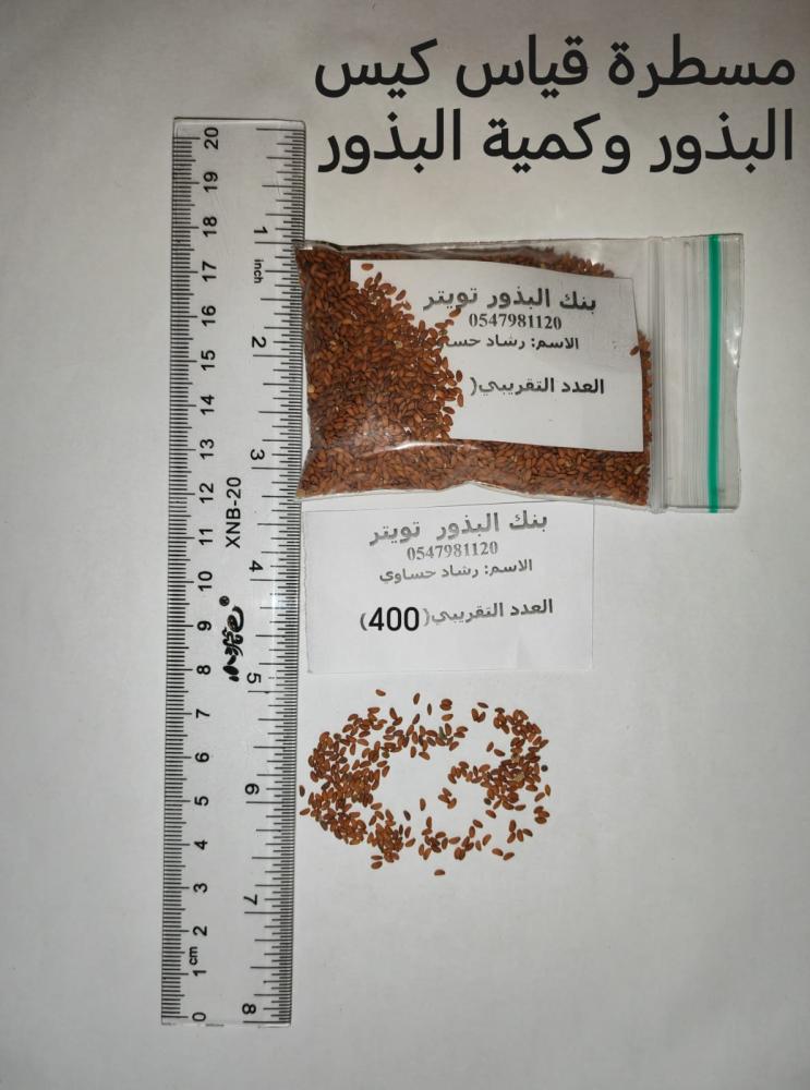 رشاد حساوي   200 بذرة