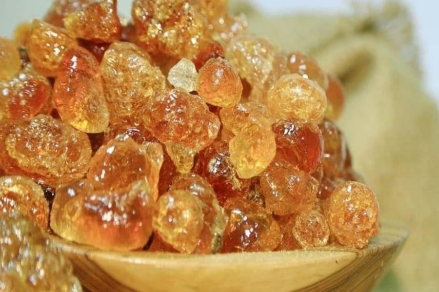 شجرة الصمغ العربي ( الهشاب ) 100 بذرة Acacia Senegal