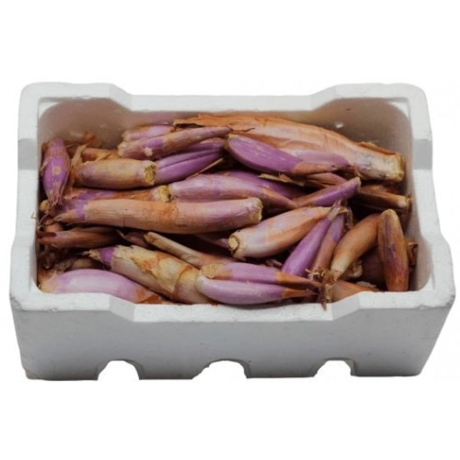 بصل حساوي   200 بذرة