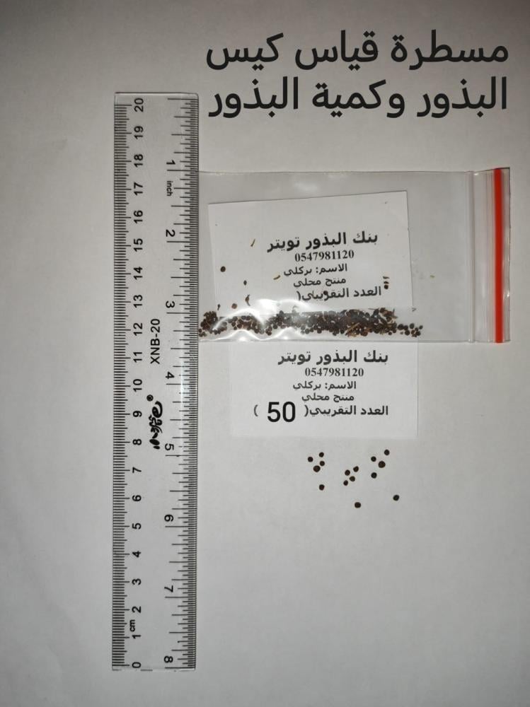 بروكلي   50 بذرة