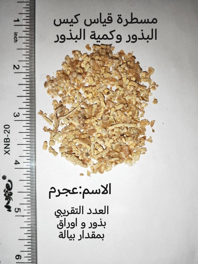 عجرم بذور و اوراق بمقدار بيالة anabasis lachnantha