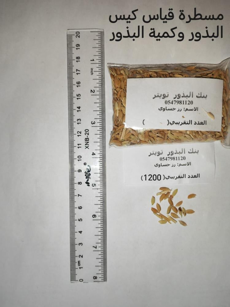 رز حساوي 1200 بذرة