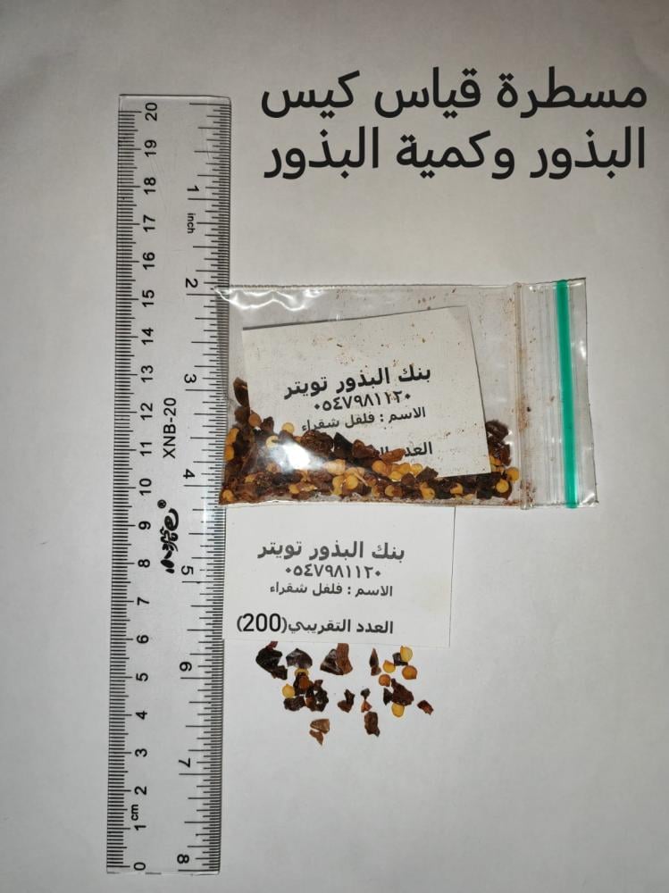 فلفل شقراء شديد الحرارة 200 بذرة تقريبا