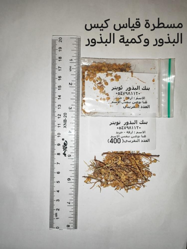 ارقة -جريد-نوعين في الكيس( نبات الفقع Helianthemum