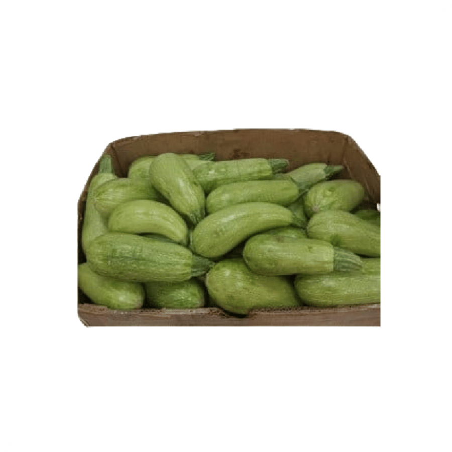 كوسة -فلين كوسا