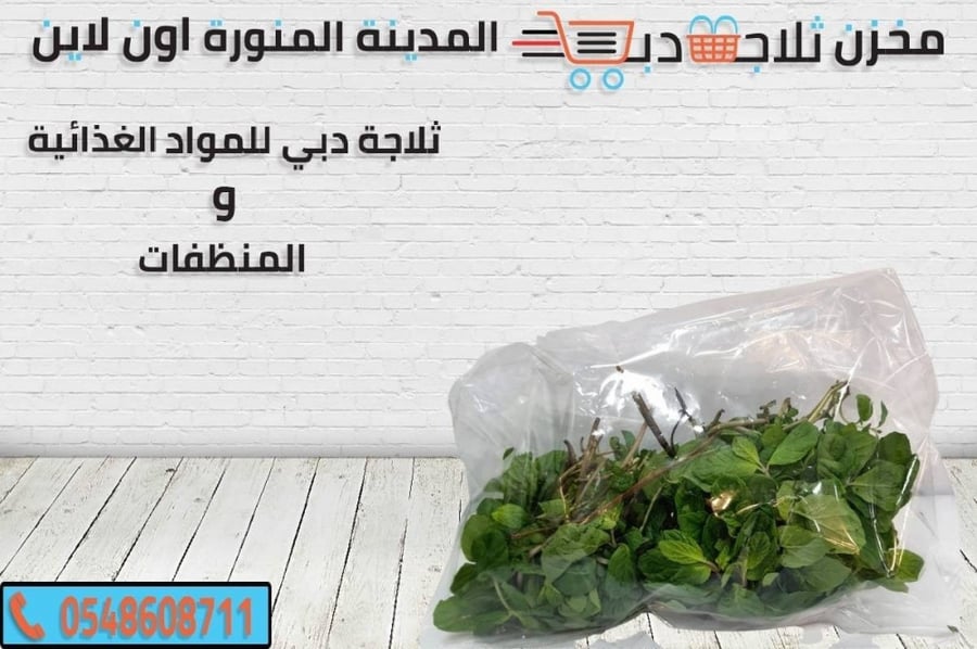 Moroccan mint, Medina variety, 2 pieces