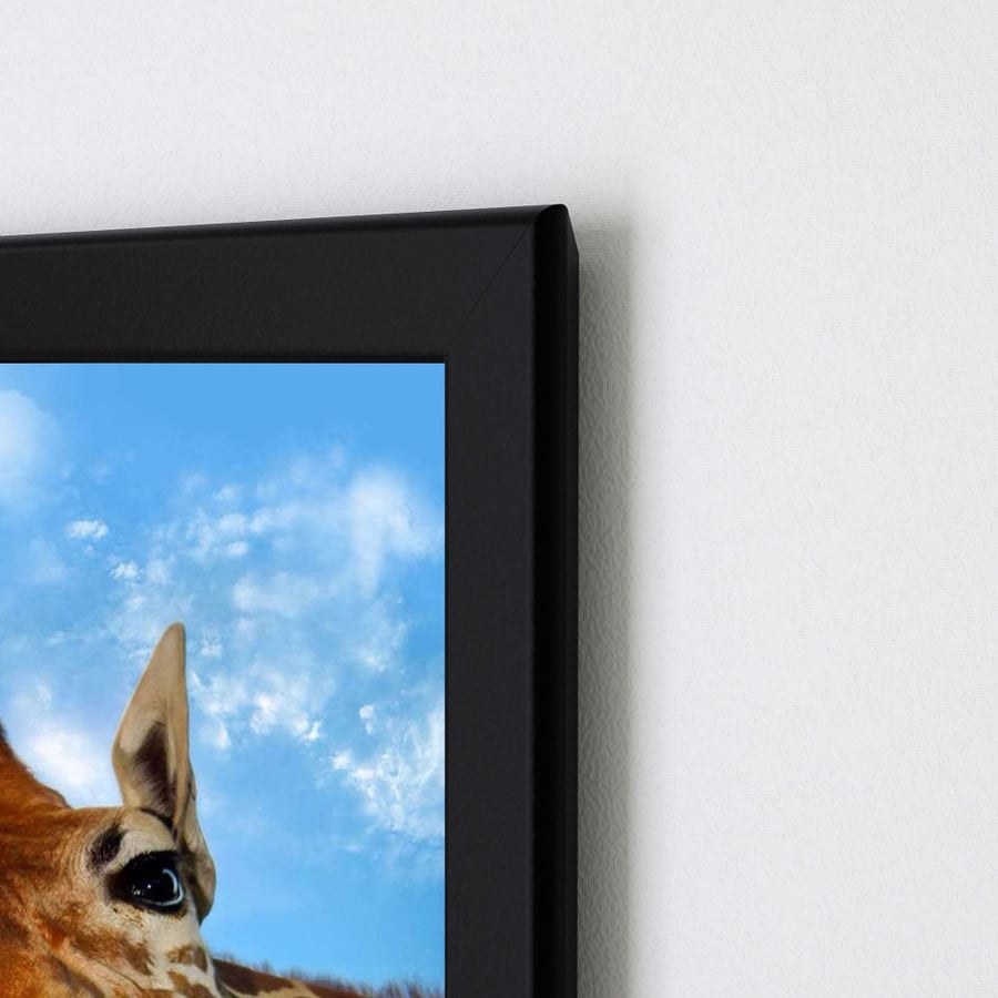 لوحة جدارية فنية Giraffe زرافة برواز ابيض ، اسود