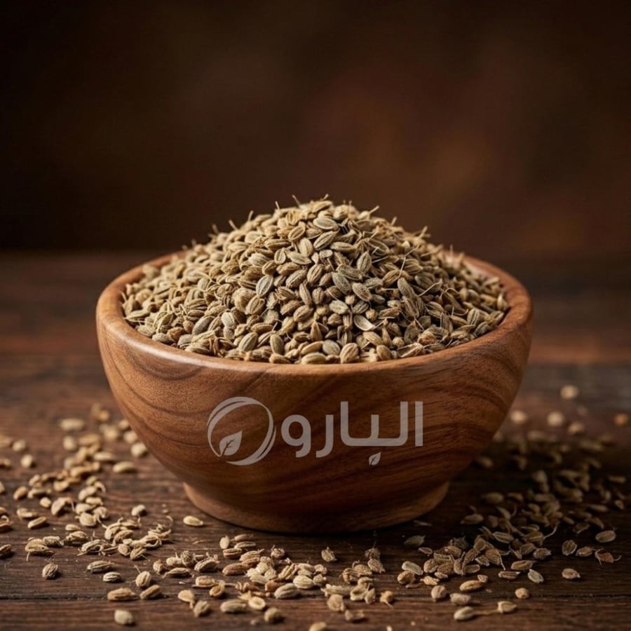 بذر الجزر
