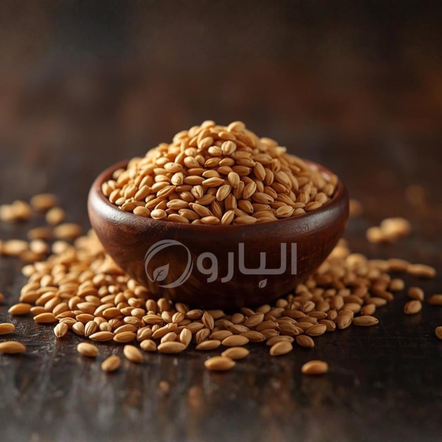 حب الرشاد قصيمي تفه درجة اولى