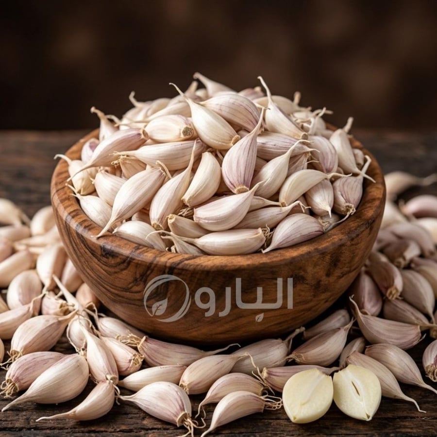 ثوم ذكر اليمني
