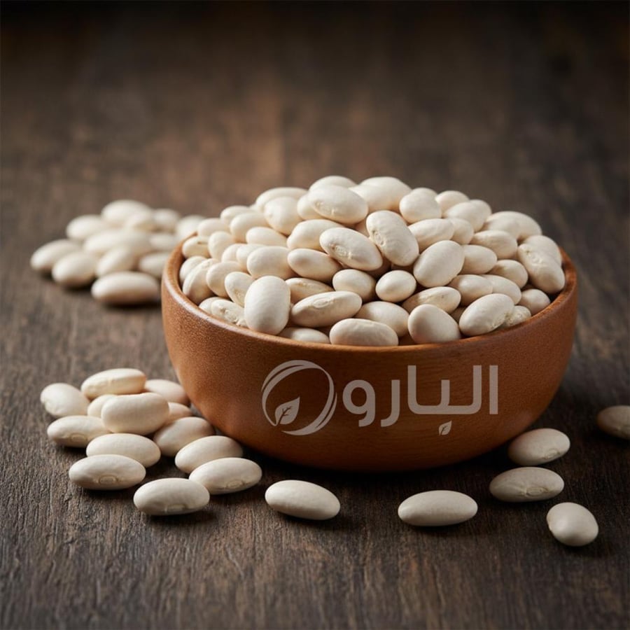 فاصوليا بيضاء درجة اولى